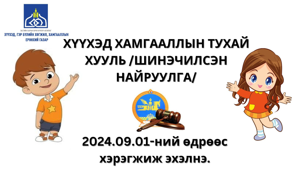 ХҮҮХЭД ХАМГААЛЛЫН ТУХАЙ ХУУЛЬ/ШИНЭЧИЛСЭН НАЙРУУЛГА 